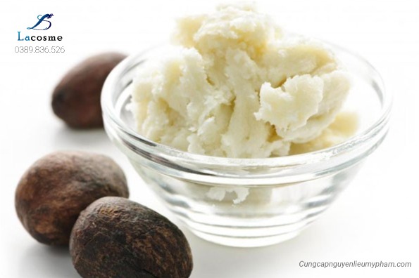Bơ hạt mỡ (Shea Butter)